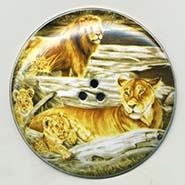 Lions button