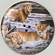 Lions button