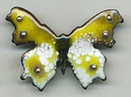 butterfly button