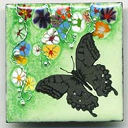 Butterfly Button