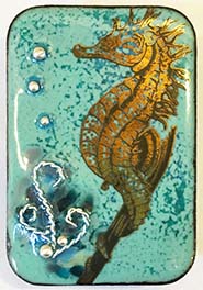 Seahorse